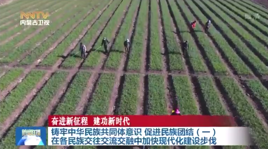 奮進新征程 建功新時代 鑄牢中華民族共同體意識 促進民族團結（一）在各民族交往交流交融中加快現代化建設步伐